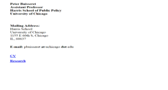 Desktop Screenshot of peterbuisseret.com